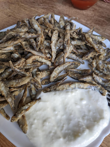 Strada 9 Mai 74, Târgu Jiu 210006