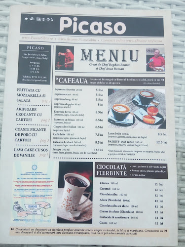 PICASO Take Away & Delivery - Gastronomie și ospitalitate