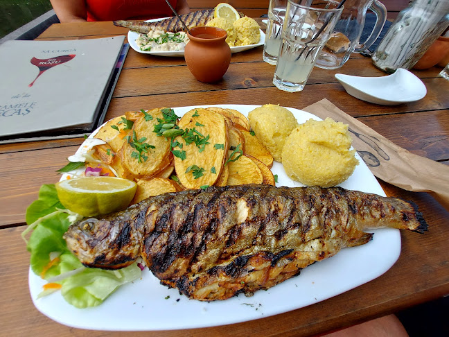 Păstrăvăria Alex - Gastronomie și ospitalitate