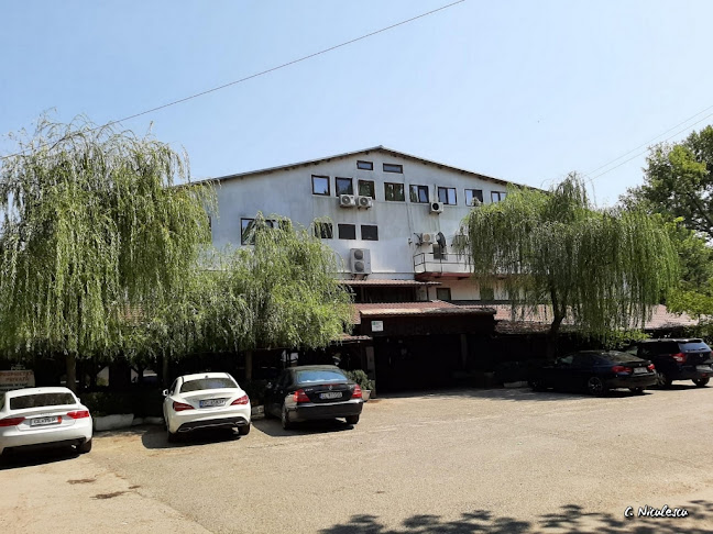 Municipiul, DN3, Călărași