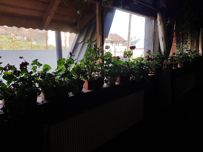 Comentarii opinii despre Hanul lui Mihai