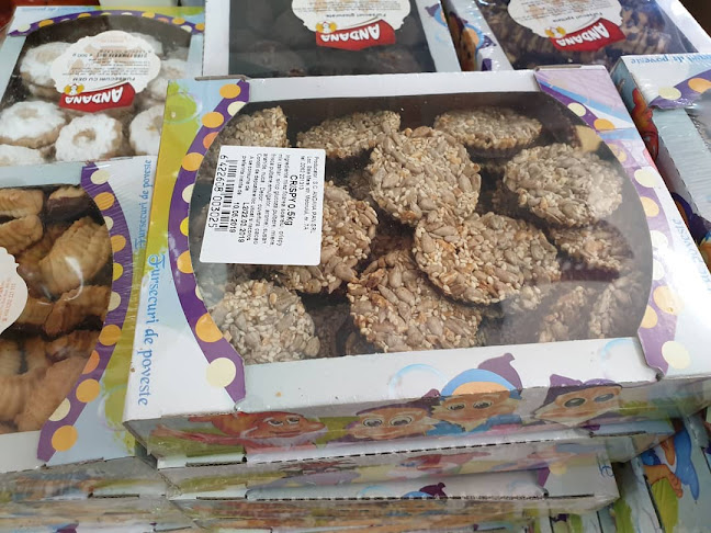 Strada Motorului 7A, Baia Mare 430013