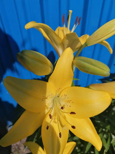 Comentarii opinii despre Ecopan