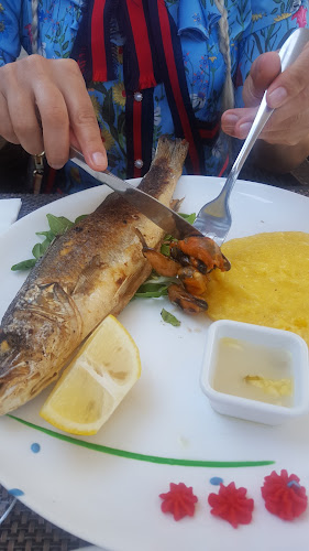 Restaurant Reyna - Gastronomie și ospitalitate