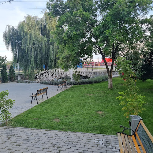 DN66, Filiași 205300