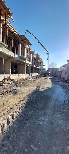 Comentarii opinii despre Cuptor rustic pe vatra