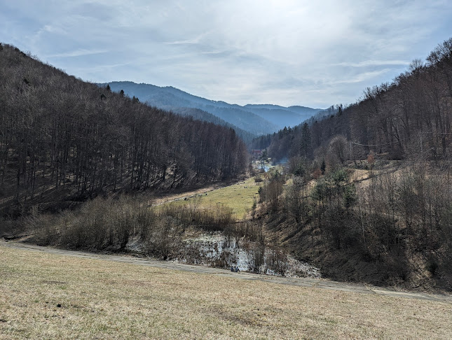 Aleea pietonala de sub Tampa, Aleea Tiberiu Brediceanu, Brașov 500014