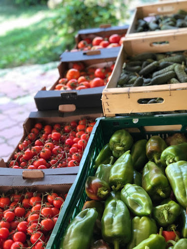 Comentarii opinii despre Epicerie Nasul Roșu Pipera