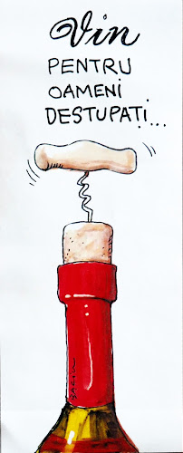 Magazinul de vinuri "Vin la Anca" - Gastronomie și ospitalitate