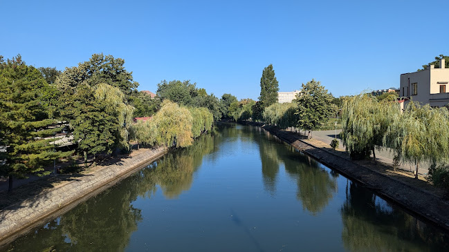 Comentarii opinii despre Grădina Bănaţeană