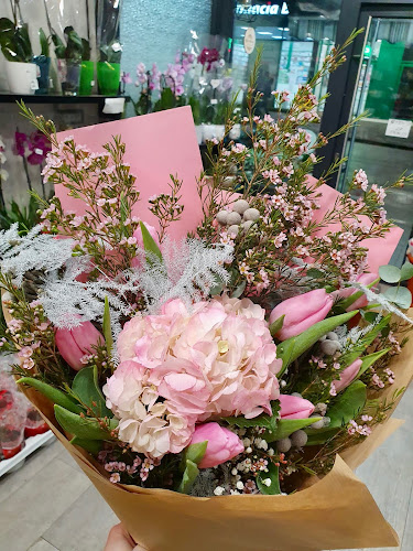 Floraria Garden Boutique Valcea - Gastronomie și ospitalitate