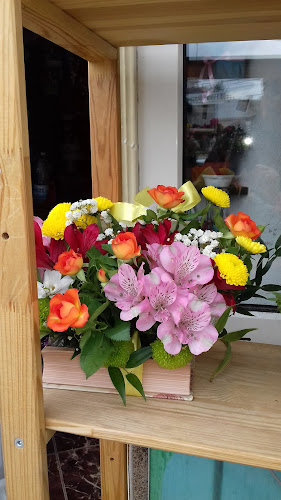 Calea Unirii 52, Suceava 727475