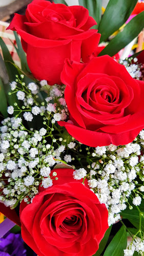 Opinii despre Brutăria Grivița în București - Gastronomie și ospitalitate