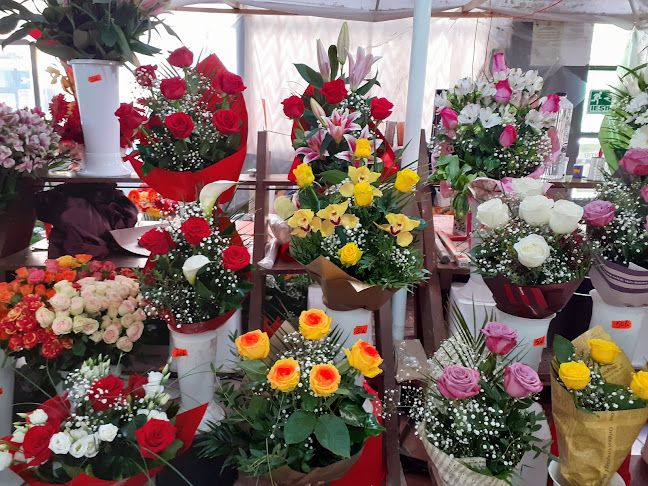 Comentarii opinii despre Piața Giroc