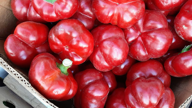 Aprozar Legume - Fructe - Gastronomie și ospitalitate