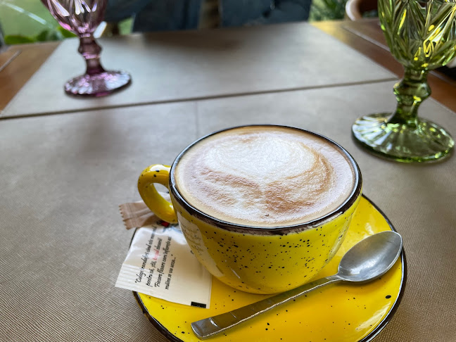 Piața Ovidiu 7, Constanța 900178