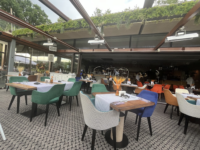 Comentarii opinii despre Rivo