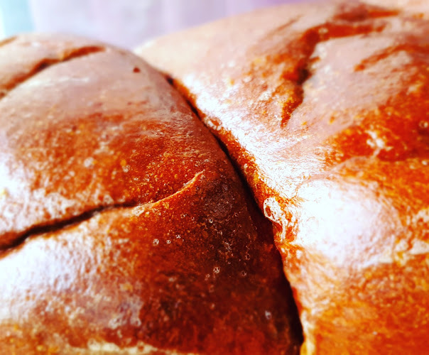 Express Food Delivery - Gastronomie și ospitalitate