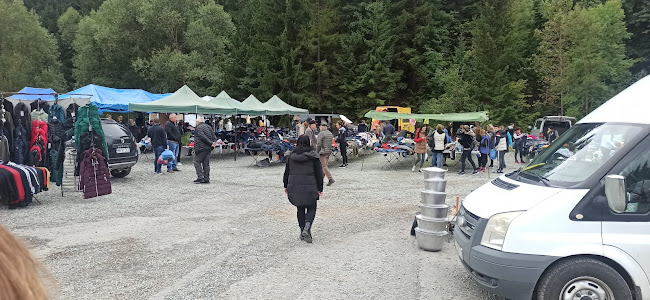 Opinii despre Piața Auto Borșa în Borsa - Gastronomie și ospitalitate