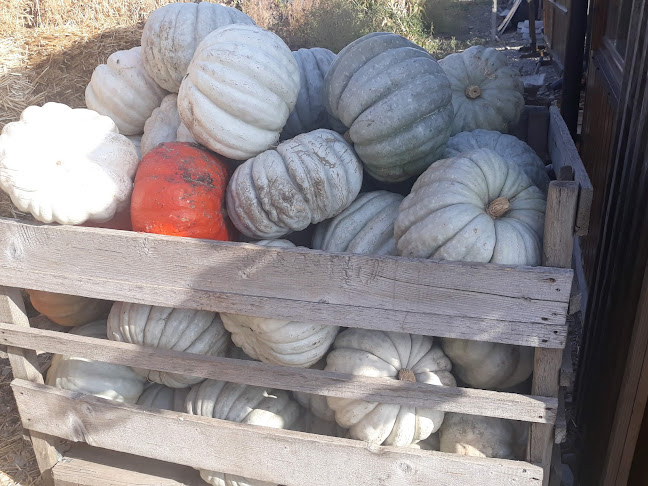 Cuptorul Bunicii - Gastronomie și ospitalitate