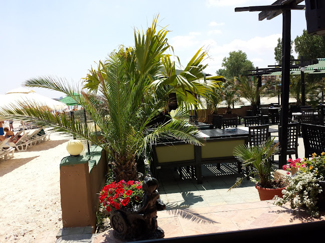 Restaurant MCM - Gastronomie și ospitalitate