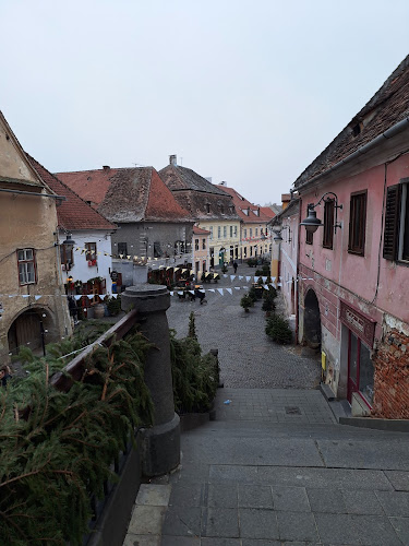 Strada Turnului 3A, Sibiu 550197