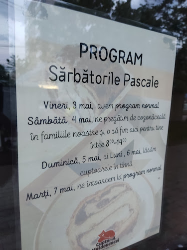 Cuptorul Moldovencei - cartier Alexandru - Iași