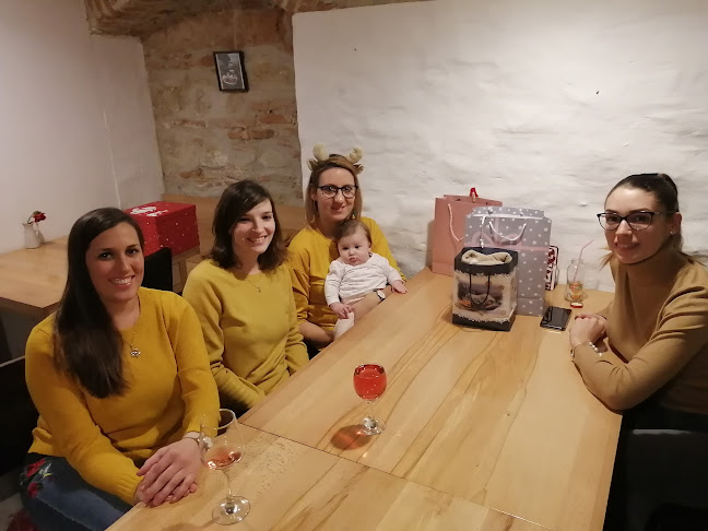 Comentarii opinii despre Vendelin