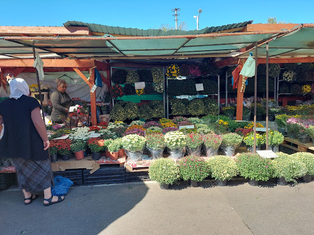 Piata de legume Bucur Obor