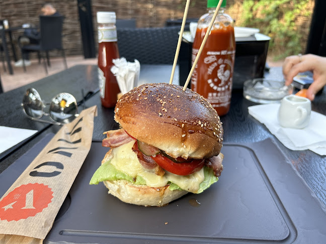 Vivo - Gastronomie și ospitalitate