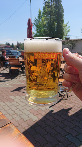 Terasa Belvedere - Arad