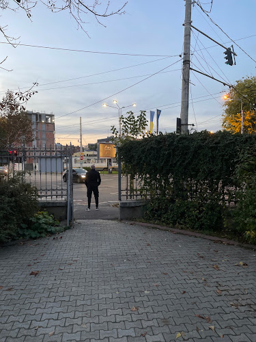 Piața Gemeni - Gastronomie și ospitalitate