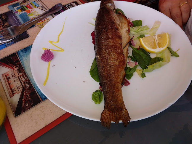 Opinii despre Restaurant Reyna în Constanța - Gastronomie și ospitalitate