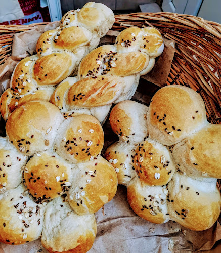 SORYBUGPAN - Slobozia