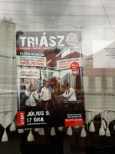 RESTAURANT--TULIT--VENDÉGLŐ