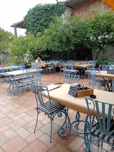 Blue Window - Gastronomie și ospitalitate