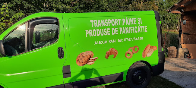 Strada 1 Decembrie nr3, Horezu 382745