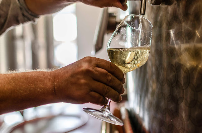 Opinii despre Crama Hamangia - magazin Tulcea în Tulcea - Gastronomie și ospitalitate