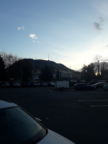 Comentarii opinii despre The Library Bar