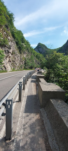 RESTAURANT TRADIȚIONAL BIGĂR - Valea Minișului