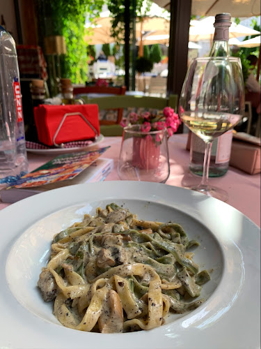 Comentarii opinii despre Max