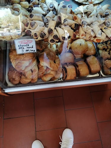 PaCoPan - Alexandria