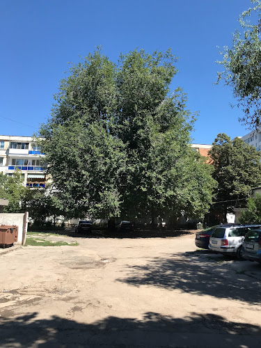 Comentarii opinii despre Piața Turist