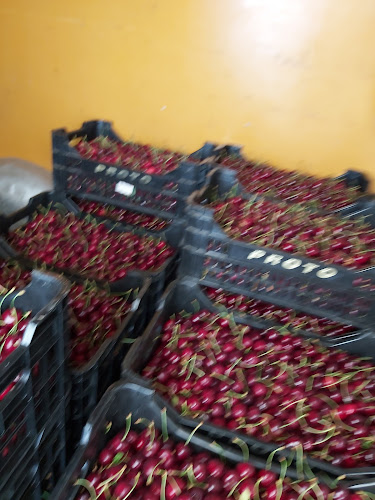 Opinii despre Piața de Gros în Timișoara - Gastronomie și ospitalitate