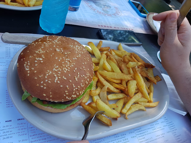 Strada Mihail Kogălniceanu nr.7, Oradea 410067