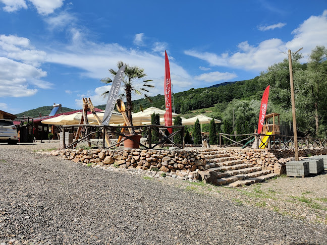 DN57B, Valea Minișului 327041