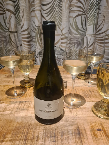 Toujours - Gastronomie și ospitalitate