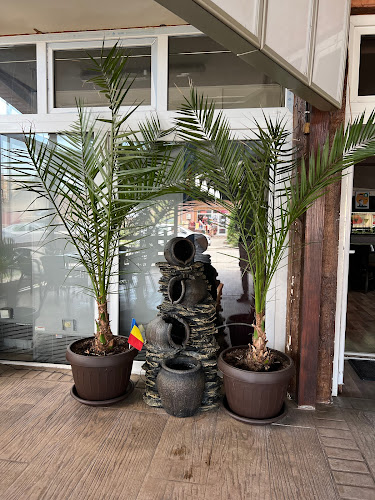 Comentarii opinii despre Royal Club