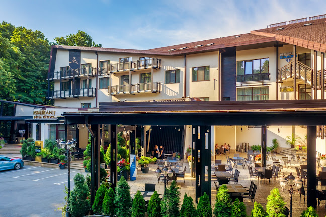 Rediu Hotel & Restaurant - Botoșani
