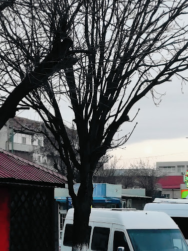 River's Fast & Fresh Food